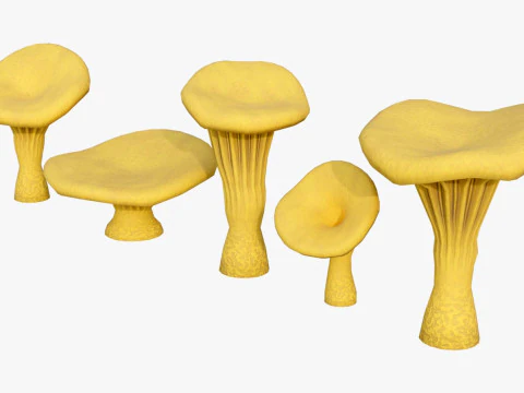 Chanterelle Mushroom Trees 3D Model