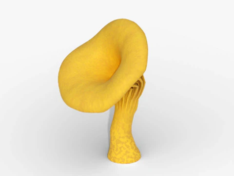 Chanterelle Mushroom Trees 3D Model