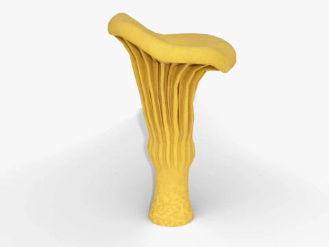 Chanterelle Mushroom Trees 3D Model