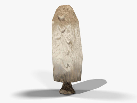 Coprinus Comatus-Pilz 3D Modell