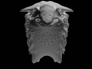 Weird Bird 3D Sculpt 3D Model