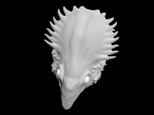 Weird Bird 3D Sculpt Modelo 3D