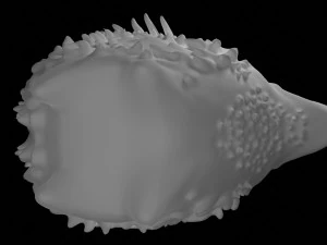 Weird Bird 3D Sculpt 3D Model