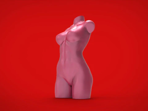 3D MODEL FOR A 3D PRINTER VASE 3D Model