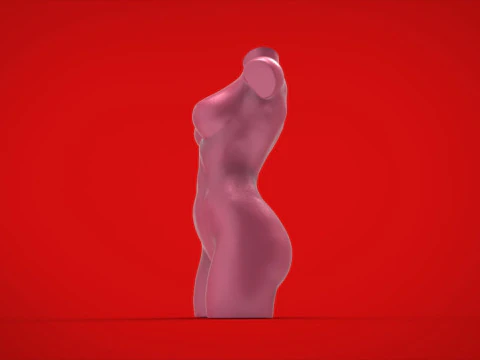 3D MODEL FOR A 3D PRINTER VASE 3D Model