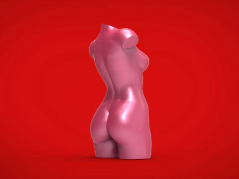 3D MODEL FOR A 3D PRINTER VASE 3D Model