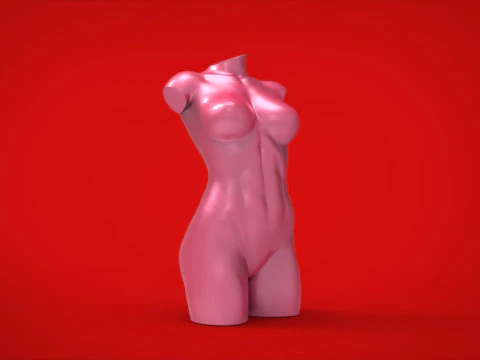 3D MODEL FOR A 3D PRINTER VASE 3D Model