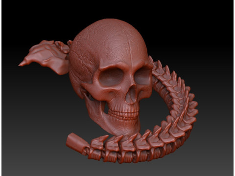 3D MODEL FOR 3D PRINTERS SKULL AND SPINE 3D Model