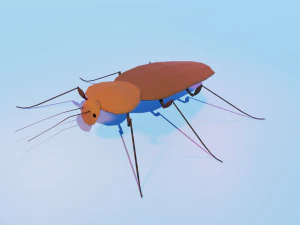 Cockroach 3D Model