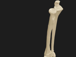 Hand and forearm bones Modèle 3D