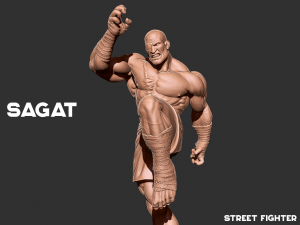 Sagat - Street fighter 3D print model 3D Print Model
