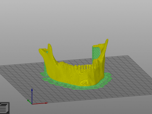 Human scull 3D Print Model