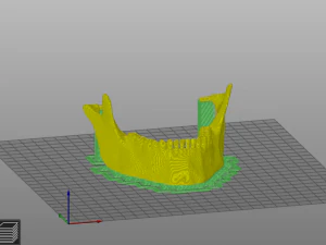Human scull 3D Print Model