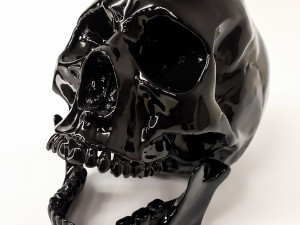 Human scull 3D Print Model