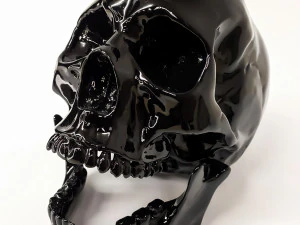 Human scull 3D Print Model