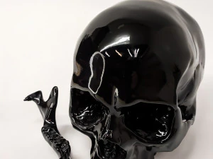 Human scull 3D Print Model
