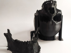 Human scull 3D Print Model