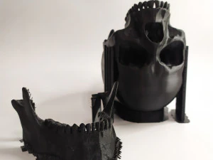 Human scull 3D Print Model