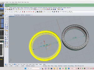 Weeding ring 002 3D Print Model