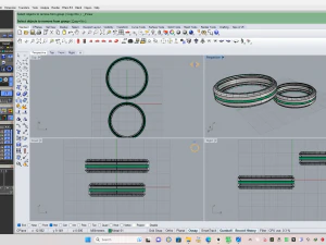 Weeding ring 002 3D Print Model