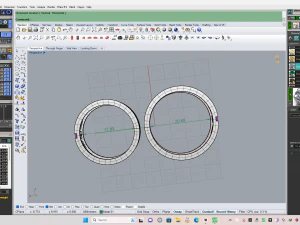 Weeding ring 003 3D Print Model