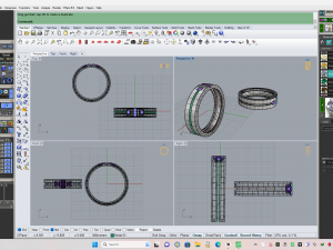 Weeding ring 003 3D Print Model