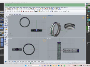 Weeding ring 003 3D Print Model