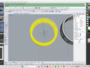 Weeding ring 004 3D Print Model