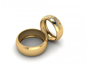 Ayıklama halkası 005 3D Baskı Modeli