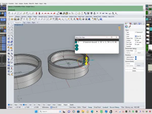 Weeding ring 006 3D Print Model