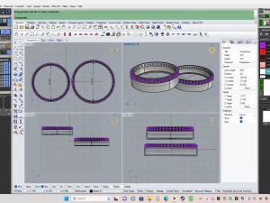 Weeding ring 009 3D Print Model