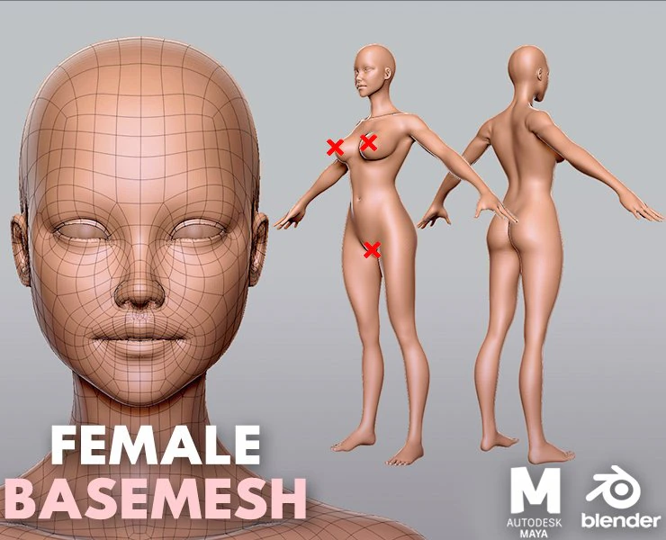 Female Anatomy 3D Model .c4d .max .obj .3ds .fbx .stl .blend 