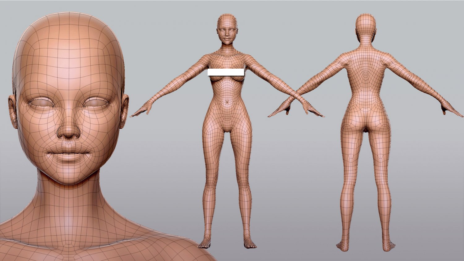 Chica Free 3D Model in Anatomy 3DExport