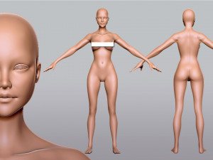 Female Anatomy 3D Модель