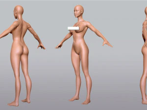 Female Anatomy 3D Model
