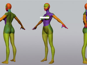 Female Anatomy 3D Модель