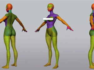 Female Anatomy 3D Model