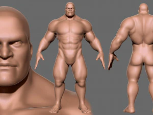 Female Anatomy 3D Model