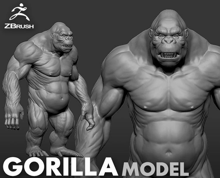 Gorilla 3D Model .c4d .max .obj .3ds .fbx .stl .blend
