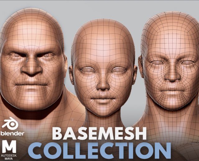 BaseMesh Collection Male Female Muscular man 3D Модель .c4d .max .obj .3ds .fbx .stl .blend 