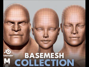 Коллекция BaseMesh Мужчина Женщина Мускулистый мужчина 3D Модель