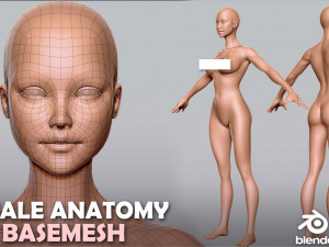 BaseMesh Collection Male Female Muscular man 3D Модель