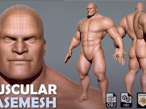 Коллекция BaseMesh Мужчина Женщина Мускулистый мужчина 3D Модель