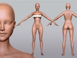 BaseMesh Collection Male Female Muscular man 3D Модель