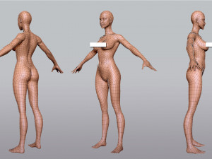 BaseMesh Collection Male Female Muscular man 3D Модель
