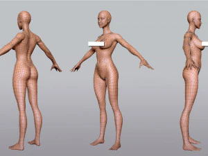 Коллекция BaseMesh Мужчина Женщина Мускулистый мужчина 3D Модель