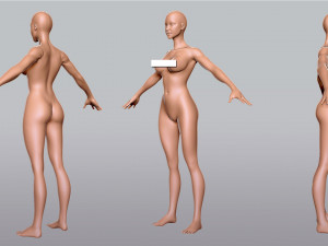BaseMesh Collection Male Female Muscular man 3D Модель