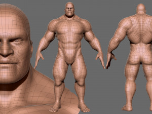 BaseMesh Collection Male Female Muscular man 3D Модель