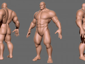 BaseMesh Collection Male Female Muscular man 3D Модель