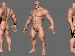 Коллекция BaseMesh Мужчина Женщина Мускулистый мужчина 3D Модель